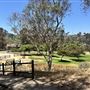 Mark Ridley Thomas Bridge located Kenneth Hahn State Recreational Area (SRA)