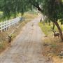 Ranch farmhouse, 4 acres