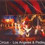 L.A. Circus