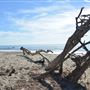 El Pescador State Beach @ Robert H. Meyer Memorial State Beach (SB) - CFC