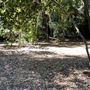 Descanso Gardens