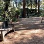 Descanso Gardens