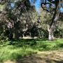 Descanso Gardens