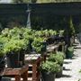 Descanso Gardens