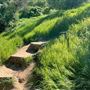 Descanso Gardens