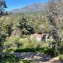 Descanso Gardens