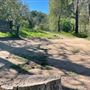 Descanso Gardens