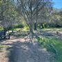 Descanso Gardens