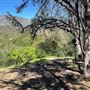 Descanso Gardens