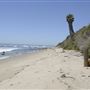 La Piedra State Beach @ Robert H. Meyer Memorial State Beach (SB) - CFC