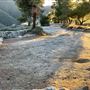 Shoemaker Viewpoint Day Use Area - Angeles National Forest