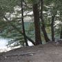 Crystal Lake Recreation Area / Campground - Angeles National Forest