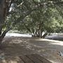 Crystal Lake Recreation Area / Campground - Angeles National Forest
