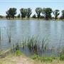 Mojave Narrows Regional Park