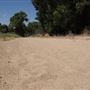 Mojave Narrows Regional Park