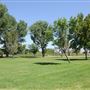 Mojave Narrows Regional Park