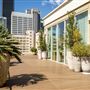 Savanna Rooftop