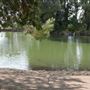 Ernest E. Debs Regional Park
