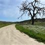 Big Sky Movie Ranch