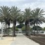 Los Angeles County Museum of Art (LACMA)