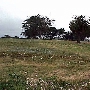 Locke Paddon Park