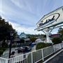 Bluebird Inn