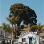 The Pacific Motel in Cayucos