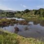 Fort Ord National Monument