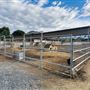 The Farm