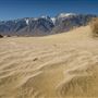 Olancha Sand Dunes - Bureau of Land Management - California Desert District - Ridgecrest Field Office - BLM - Off Highway Vehicle Area - OHV