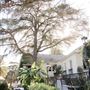 Louisiana French Colonial House