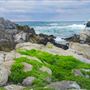Point Pinos Lighthouse
