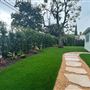 Overland Avenue