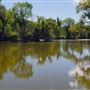 The Painted Turtle Camp