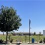City of Coalinga