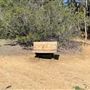 Griffith Park Redwoods - Cedar Grove