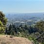 Griffith Park Redwoods - Cedar Grove