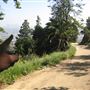 Griffith Observatory - Griffith Park