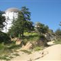 Griffith Observatory - Griffith Park