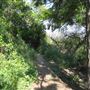 Griffith Observatory - Griffith Park