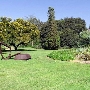 Los Angeles County Arboretum
