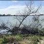 Peck Road Water Conservation Park