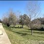Peck Road Water Conservation Park
