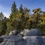 Mount San Jacinto State Park (SP) & Palm Springs Aerial Tramway