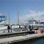 Cabrillo Marina