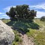 39459 Opalocka Road Suite 1648