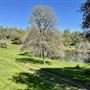 Aukum Ranch