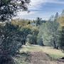 Aukum Ranch