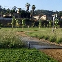 Los Angeles State Historic Park (SHP)