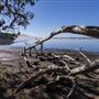 Morro Bay State Park (SP)